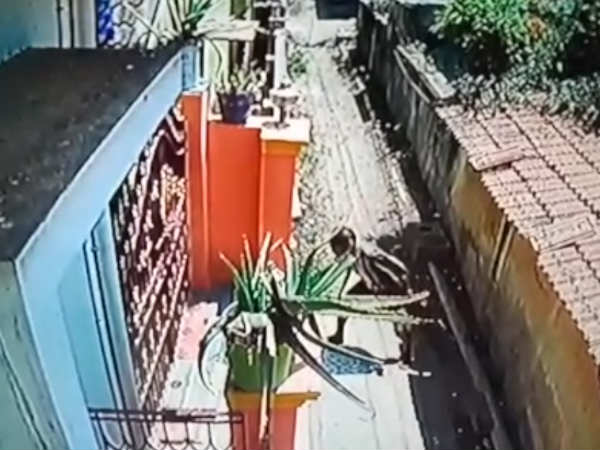 கட்டையால் அடித்தார்