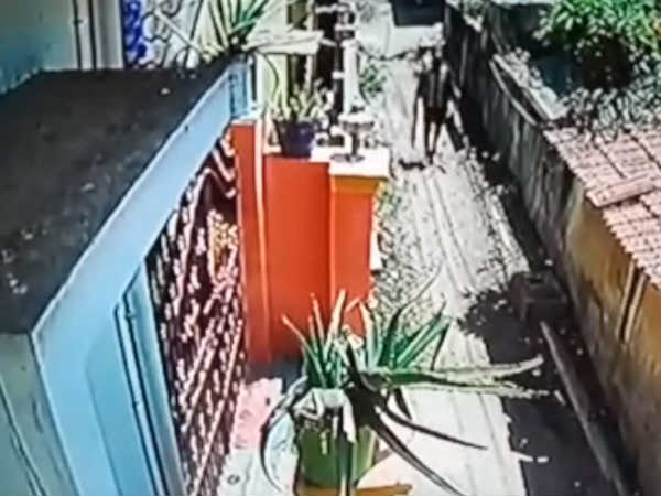 கைது செய்ய வேண்டும்