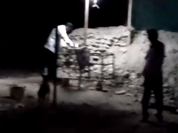 நாய் குரைக்கிறது