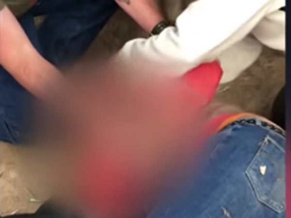 jaguar attacks woman in zoo jaguar attacks woman in zoo