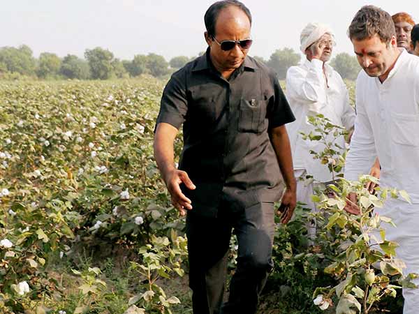 காங்கிரஸ் திட்டம்
