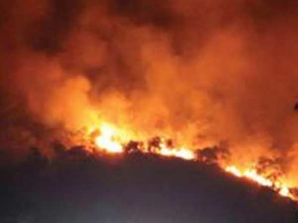 Forest fire in Tamilnadus Sathyamangalam Forest fire in Tamilnadus Sathyamangalam