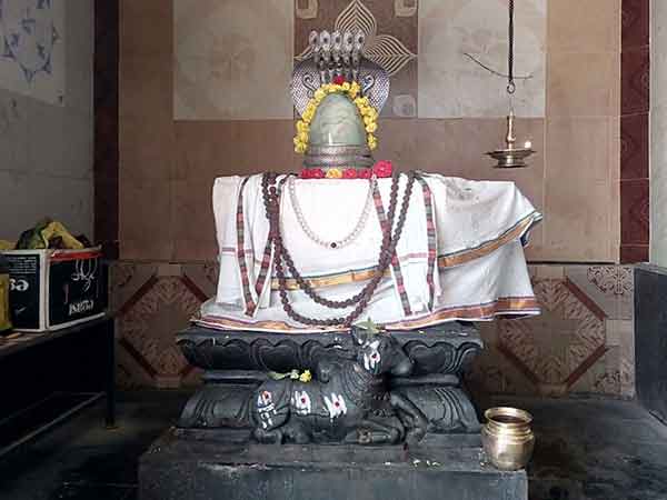 சிவ தரிசனம்