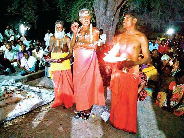 temple lemons auctioned for rs 1 lakhs temple lemons auctioned for rs 1 lakhs