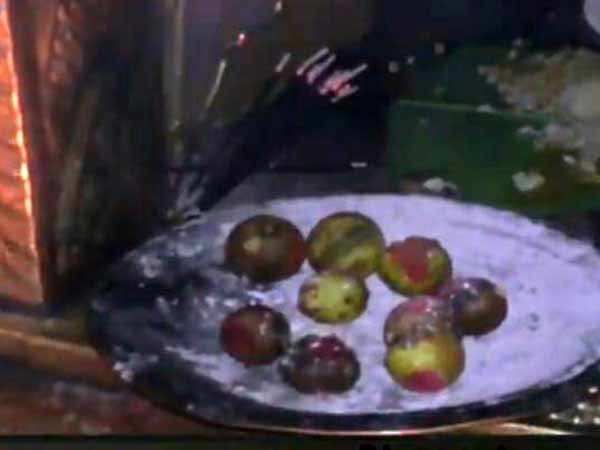 temple lemons auctioned for rs 1 lakhs temple lemons auctioned for rs 1 lakhs