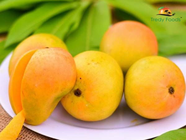 Tredyfoods.com gives you a variety of healthy sweets to your lovely children Tredyfoods.com gives you a variety of healthy sweets to your lovely children
