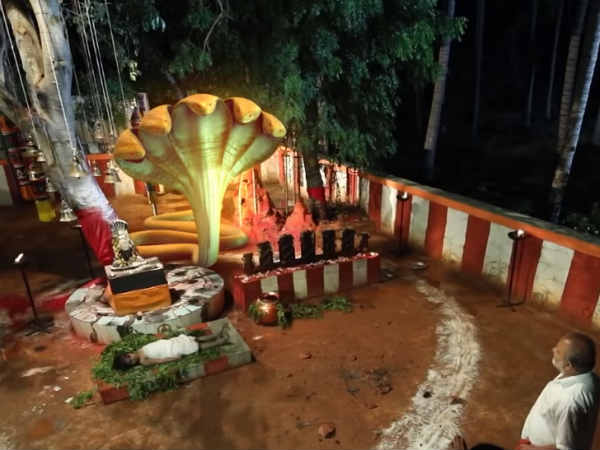 அஞ்சு தலை பாம்பு