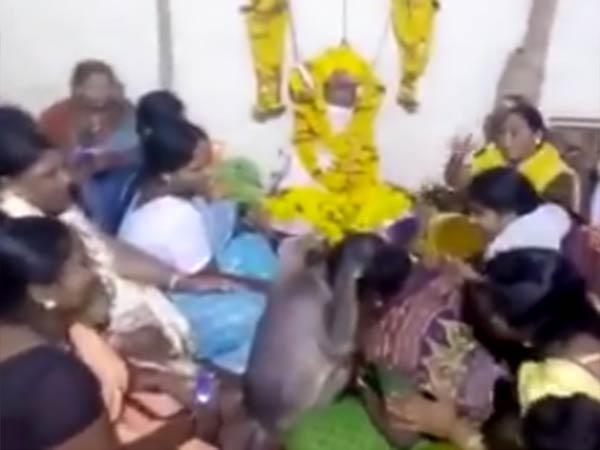 elderly incident in Karnataka.. A monkey that gives comfort to humans in sorrow homes elderly incident in Karnataka.. A monkey that gives comfort to humans in sorrow homes
