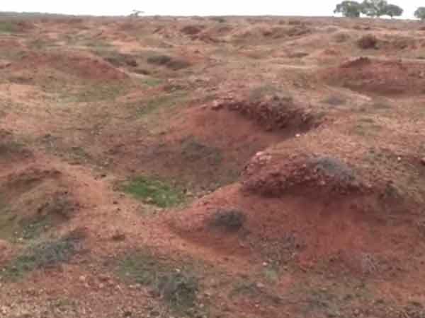 à®à®©à¯à®© à®à¯à®³à¯à®µà®¿