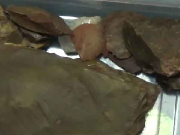 à®à®©à¯à®©