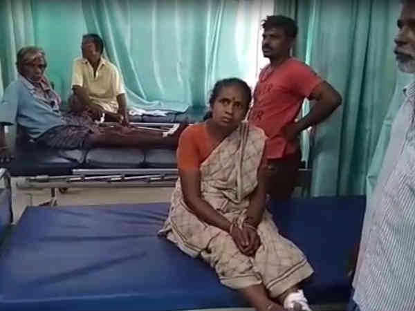 நாயை பிடிக்கவில்லை
