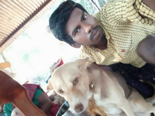 The dog bite and kill a snake and saves owners life The dog bite and kill a snake and saves owners life