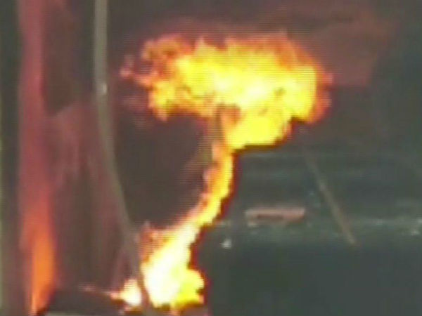 UP Dog saves lives of more than 30 people; dies later in a cylinder blast UP Dog saves lives of more than 30 people; dies later in a cylinder blast