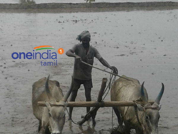 விவசாய பட்ஜெட்