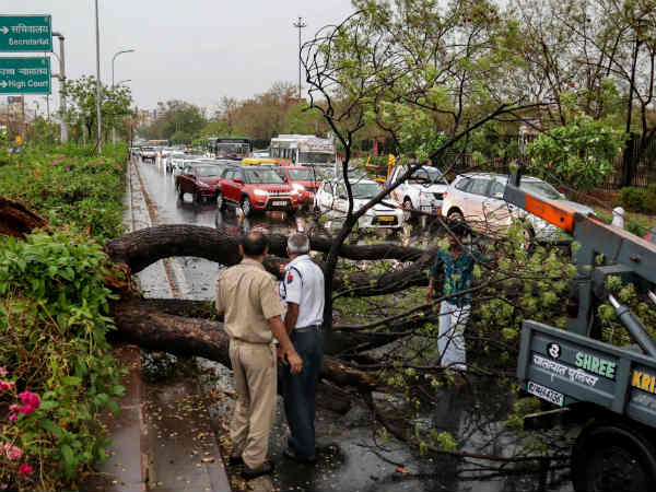 Rain and storms hit: 6 people have died across Rajasthan Rain and storms hit: 6 people have died across Rajasthan