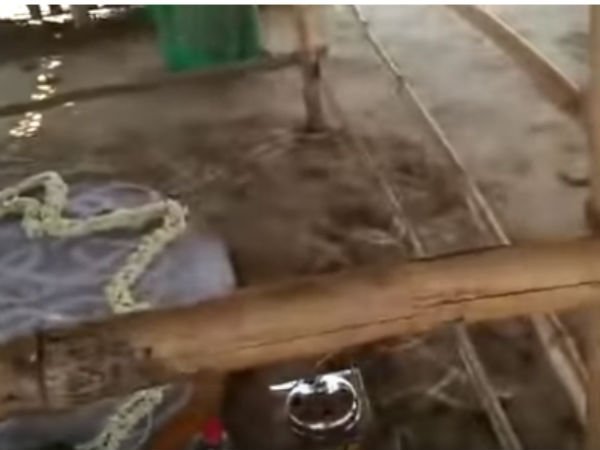 சாமியார் பழனி