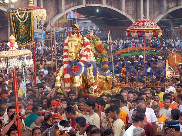 Thanjavur Big temple Chithirai festival begins with flag hoisting Thanjavur Big temple Chithirai festival begins with flag hoisting