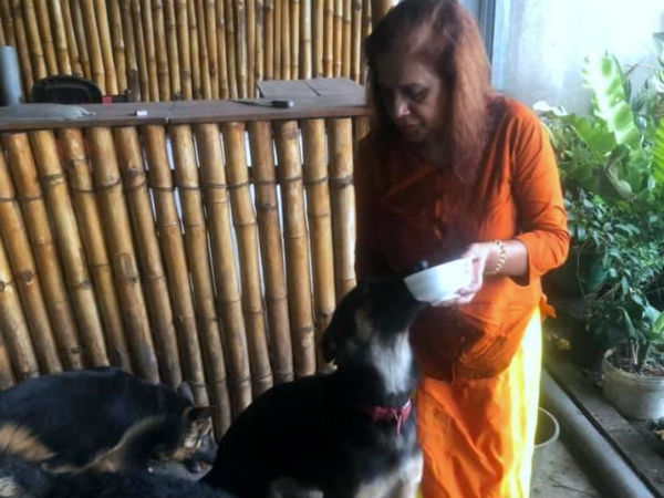 Srilankan woman gifts 5 pet dogs to Army for Explosive Detection Training Srilankan woman gifts 5 pet dogs to Army for Explosive Detection Training