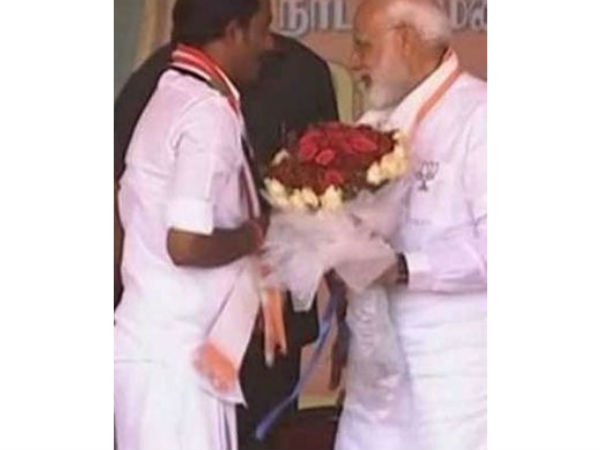டாடி-அம்மா