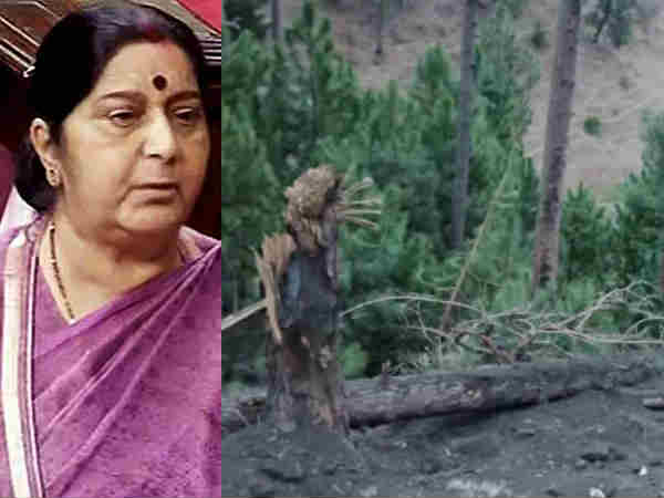 Sushmas comment on Balakot attack create ripples Sushmas comment on Balakot attack create ripples