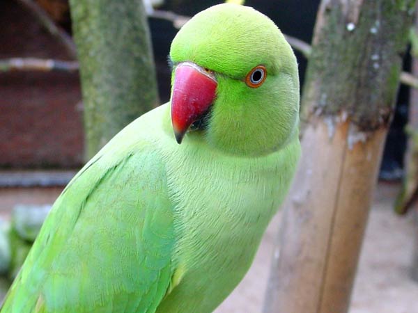 நொந்து போனார்கள்