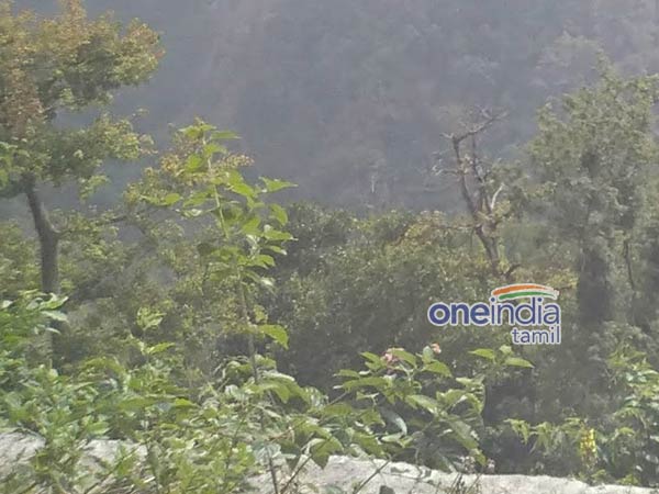 கொடைக்கானல் சாலை