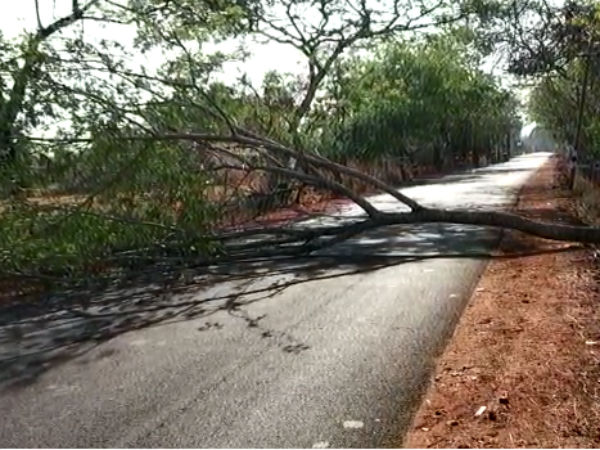 The police are concentrating on preventing violence from two groups in Ponnamaravathi The police are concentrating on preventing violence from two groups in Ponnamaravathi