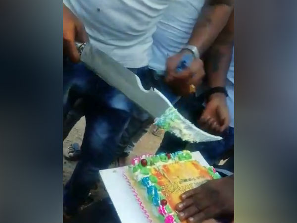 மலைப் பகுதியில் கேக்