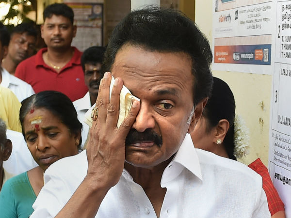 Lok Sabha Election 2019: M K Stalin cast his vote in Chennai Thenampet Lok Sabha Election 2019: M K Stalin cast his vote in Chennai Thenampet