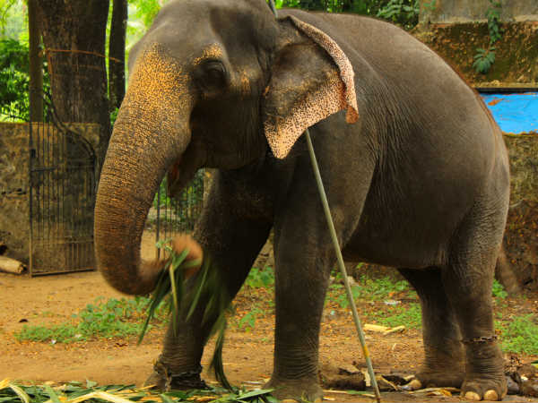விபரீதம்