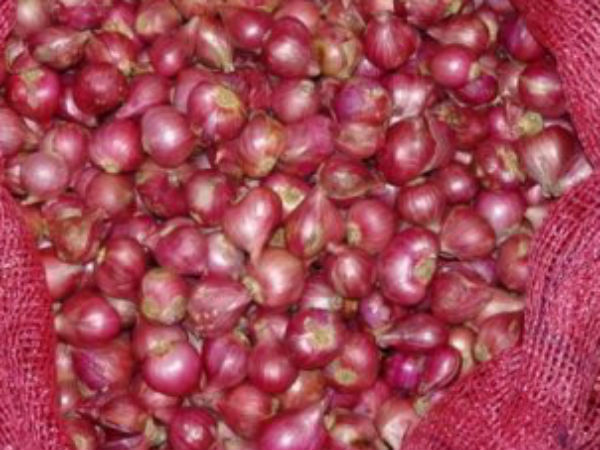 Small Onion Price Hike in Dindigul market Small Onion Price Hike in Dindigul market
