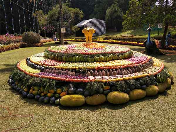 61st Fruit Exhibition had started in Coonoor Sims Park today 61st Fruit Exhibition had started in Coonoor Sims Park today