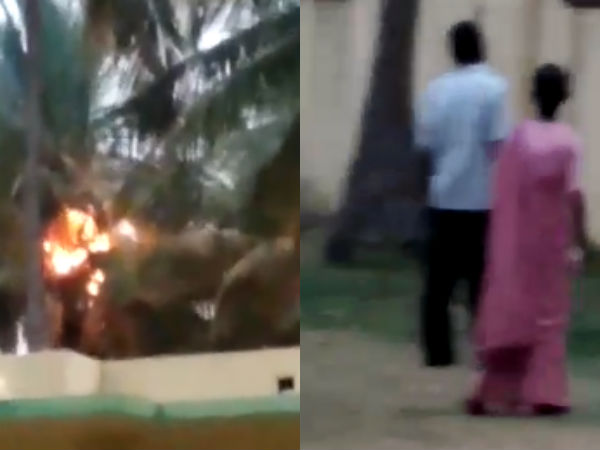 Thunder attack on coconut trees damage near Vaniyambadi Thunder attack on coconut trees damage near Vaniyambadi