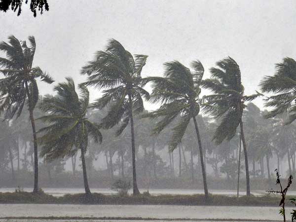 அதிக மழை