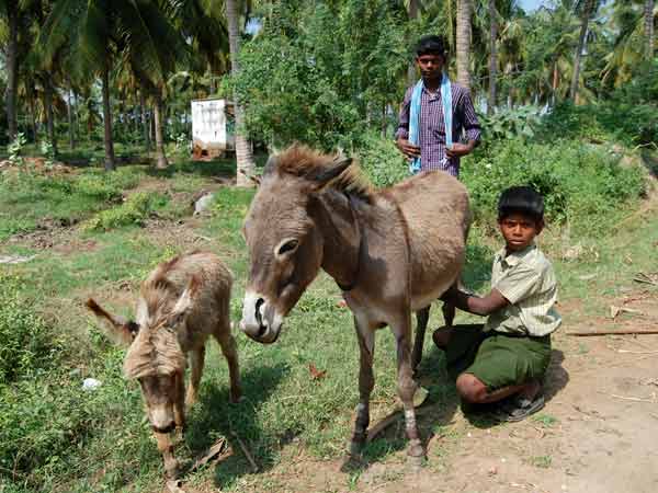 வெறும் வயிற்றில் குடிக்க வேண்டும்