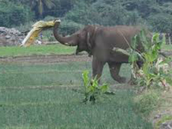 வதந்தியை நம்பாதீர்