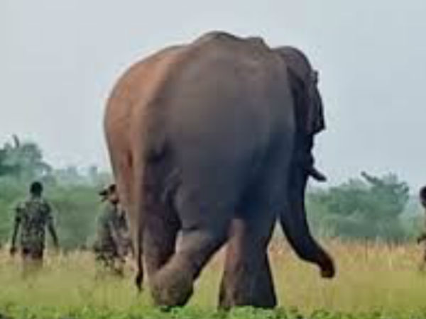 சமூகவலைதளங்கள்