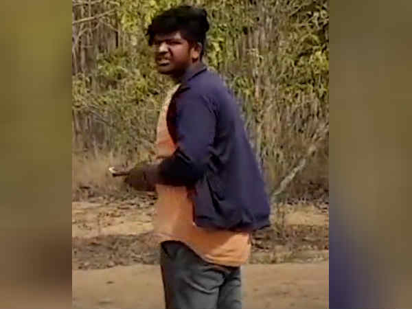 காட்டுப்பகுதி