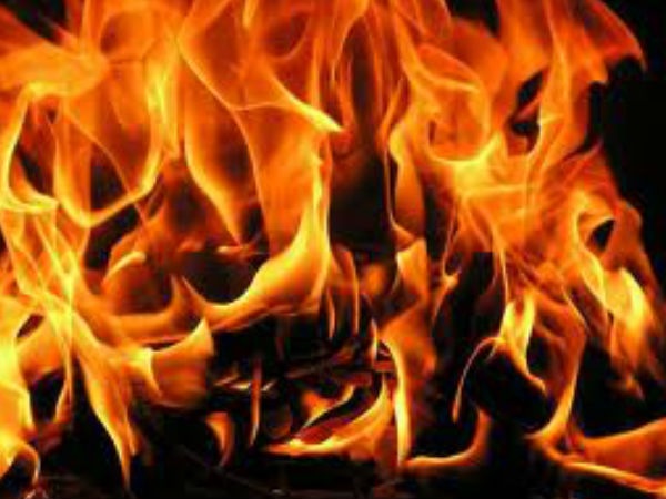 fire on vandalur forest near zeological park chennai fire on vandalur forest near zeological park chennai