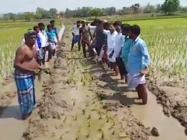 எரிவாயு குழாய்கள்