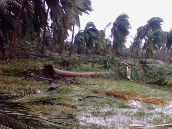 கஜாவுக்கு வரலை