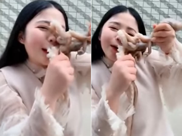 girl tries to eat octopus alive girl tries to eat octopus alive
