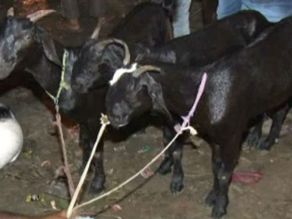 ஒன்றரை கோடிக்கு விற்பனை