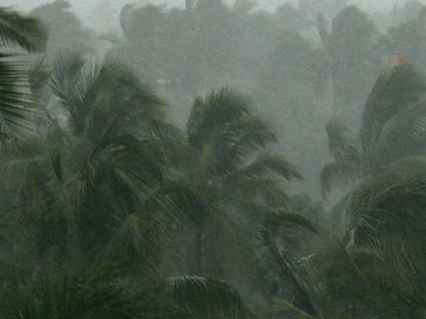 மழை தேவதை