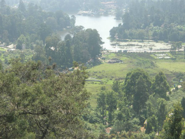 கேரட், உருளைக்கிழங்கு