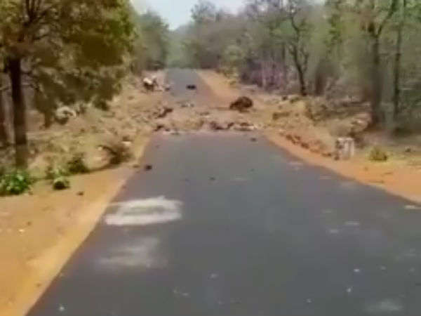 Naxal attack in Maharashtra: Viral video shows the after effect of the deadly bombings Naxal attack in Maharashtra: Viral video shows the after effect of the deadly bombings