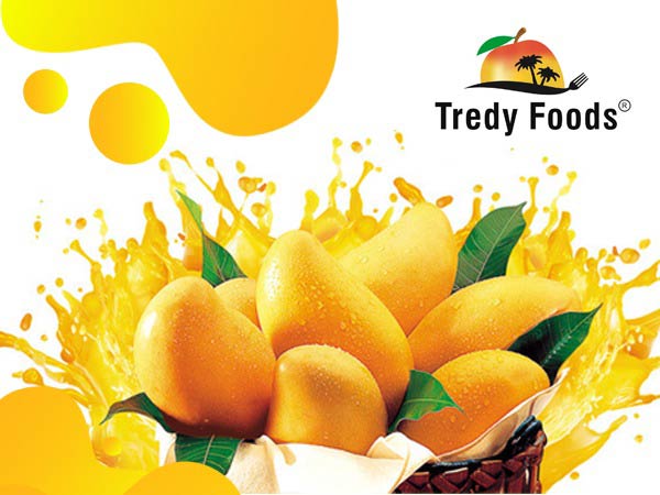 Tredyfoods.com offers a variety of mangoes with nature touch and taste Tredyfoods.com offers a variety of mangoes with nature touch and taste