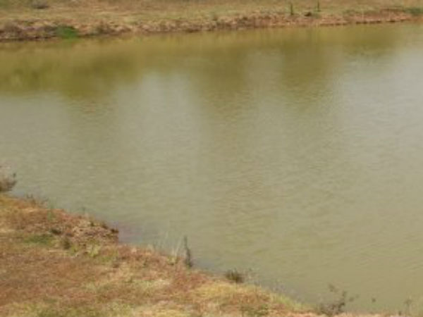 ஊரணியில் மூழ்கி
