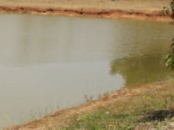 உடலை தேடும் பணி