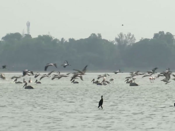 ஏரிகள், தீவுகள்